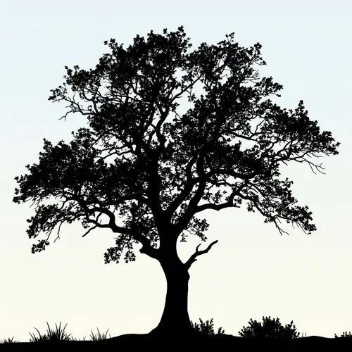 Create Stunning Image Silhouettes