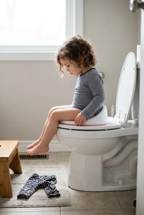 Toddler Toilet Training Success Guide