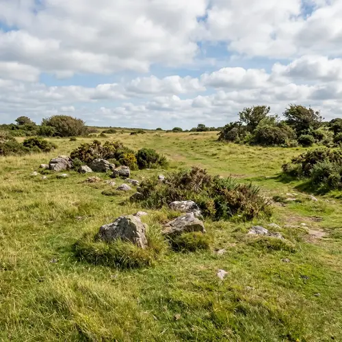 Tranquil Grass Area with Rocks and Bushes