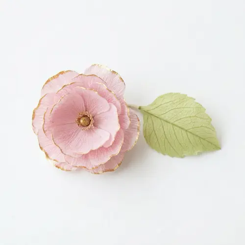 Delicate Pink Flower with Gold-Tipped Petals | Minimalistic Floral Photography