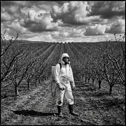 Stunning Black & White Orchard Photography