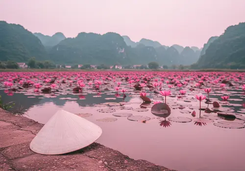 Elegant Vietnamese Landscape with Lotus and Mountains