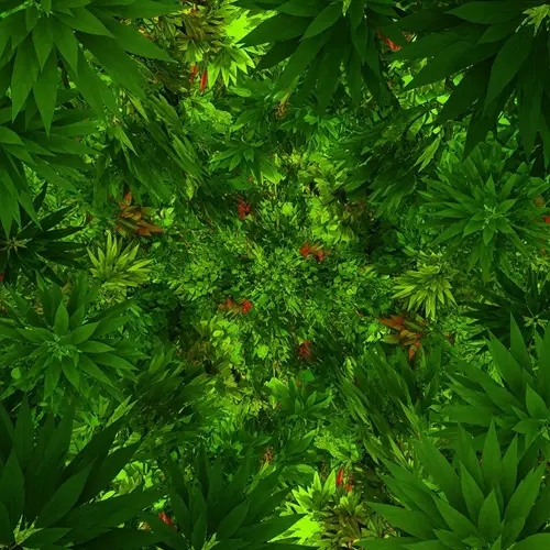 Diverse Leafy Greens Composition - Abstract and Bold Visuals