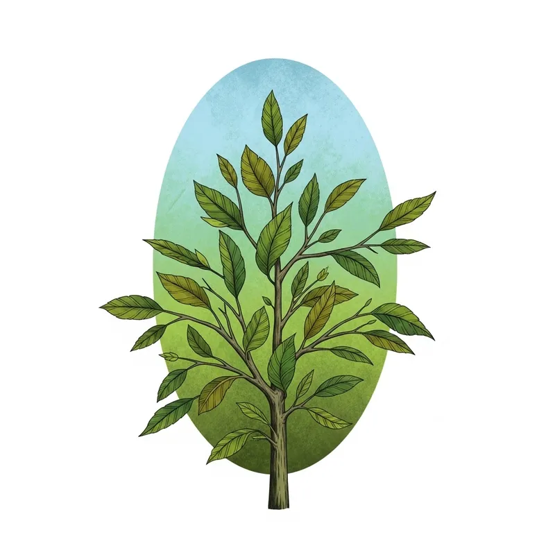 Organic Growth: Oval Shape with Stem and Leaves