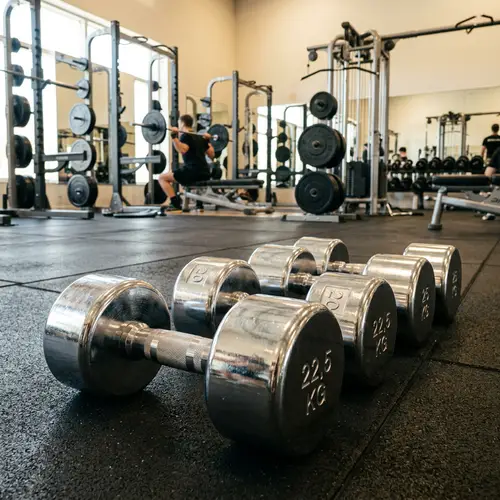 Premium Weight Training Equipment in Well-Equipped Gym