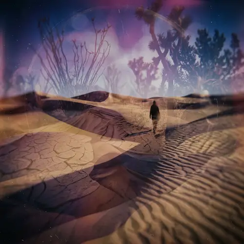 Experimental Desert Landscape