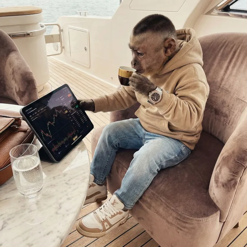 Cool Monkey in Trendy Outfit and Luxury Lifestyle