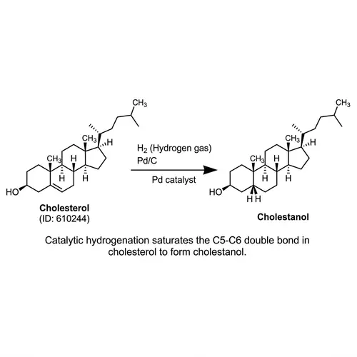 Hydrogenation of Cholesterol Structure - Process and Effects