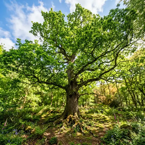 Growing Tree: Symbol of Vitality and Strength