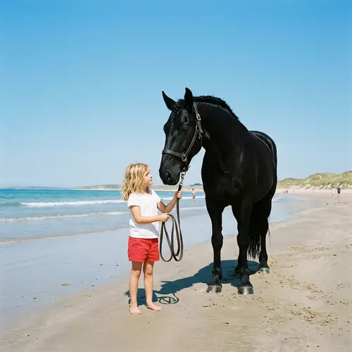 Blonde Girl with Black Horse on Sunny Beach