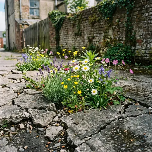 Resilient Flowers in Urban Concrete Crevices