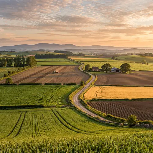 Explore Our Agriculture Land for Sale