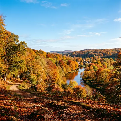 Capturing the Vibrant Autumn Colors in a Charming Landscape