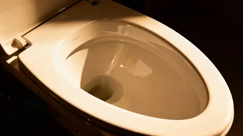 Stunning Clean Toilet Bowl from Above