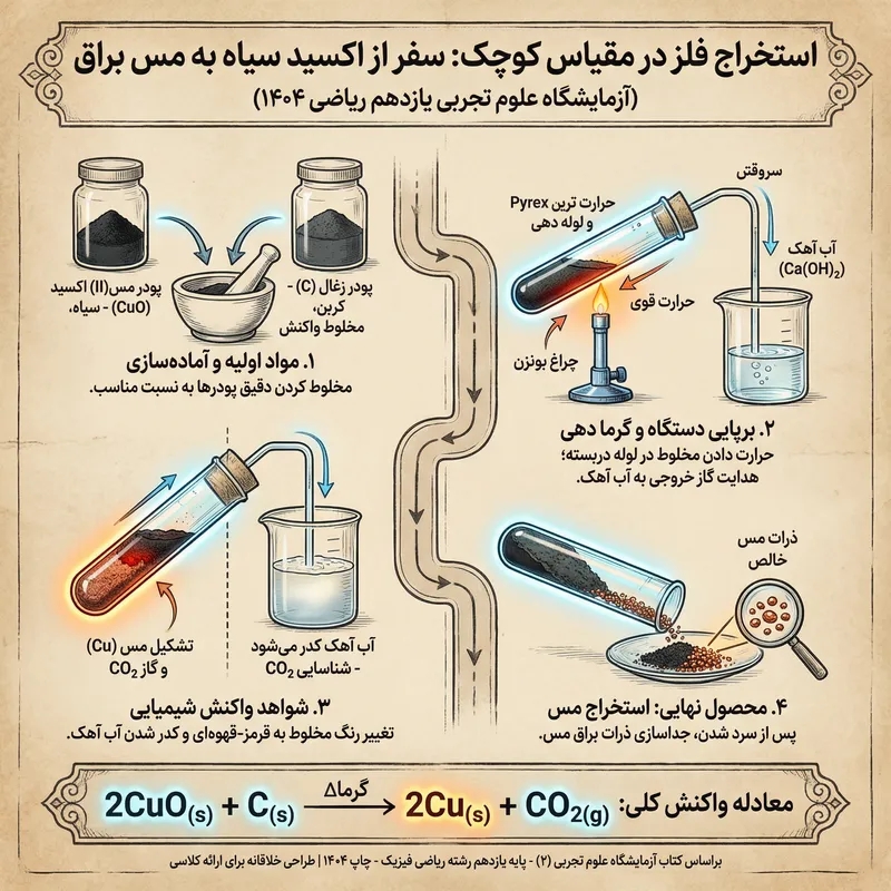 Step-by-Step Metal Extraction Experiment Poster