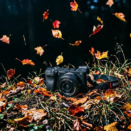 Sony A6300 Camera on Grassy Ground with Autumn Leaves