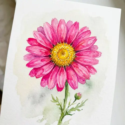 Vibrant Hot Pink Daisy Watercolor Art