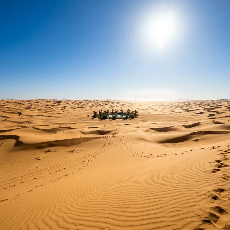 Discover the Beauty of the Desert Landscape