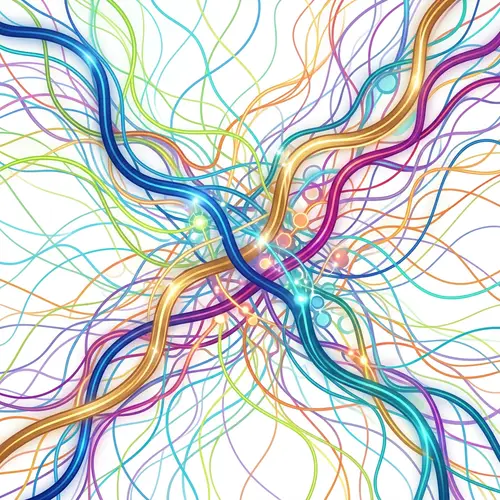 Colorful Network of Unity and Connection