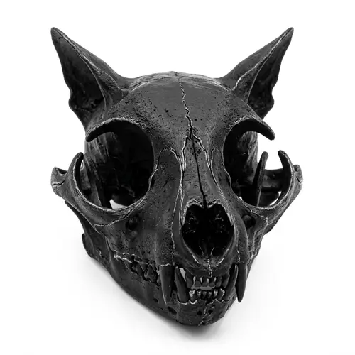 Black Cat Skull: Macabre Feline Aesthetic Design