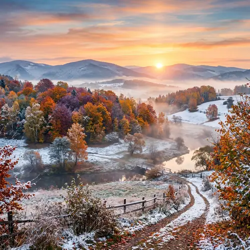 Autumn Landscape at Sunrise with Multi-Colored Leaves