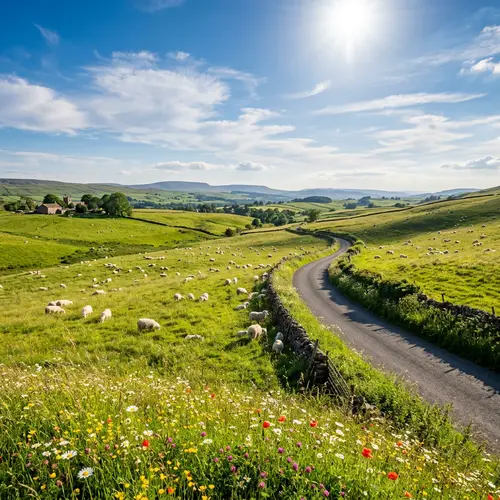 Tranquil Meadow Scene with Sheep Grazing | Bright Sunny Day