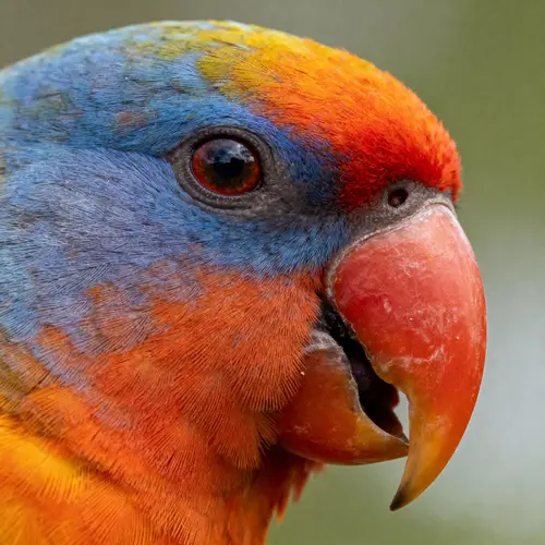 Enhance Your Image Quality Significantly