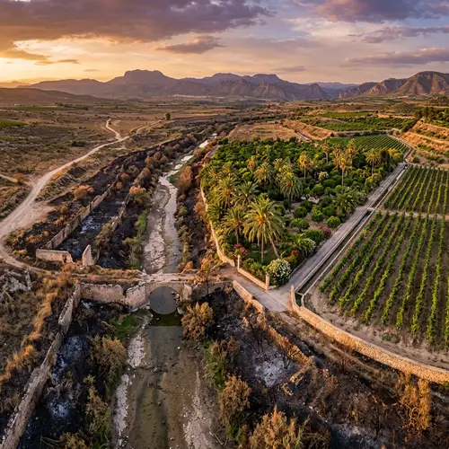 Scenic Gardens with Palm Trees and Ancient Rivers