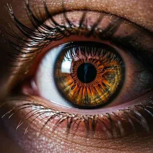 Open Your Eyes - Discover New Perspectives