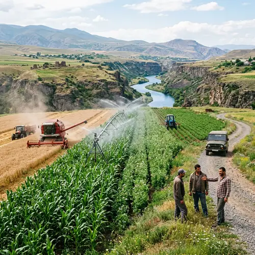 Vibrant Cornfield by Akhuryan River in Rural Armenia