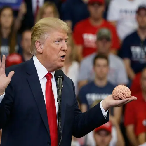 Donald Trump with a Tiny Brain - Humor and Satire