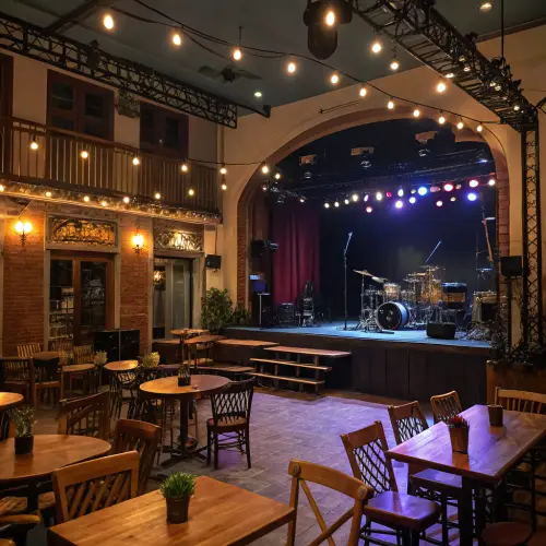 Café Tacuba Concert Stage Experience