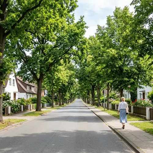 Scenic Paved Street with Tree Canopy | Tranquil Urban Landscape