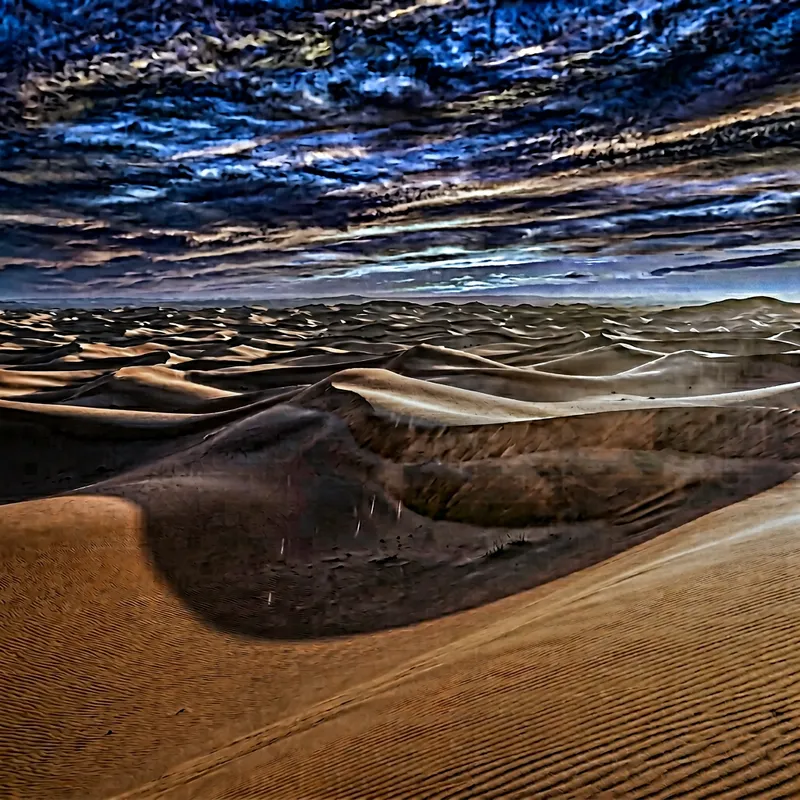 Sahara Desert Pictures: Sunset, Rainfall, Camels & Stars