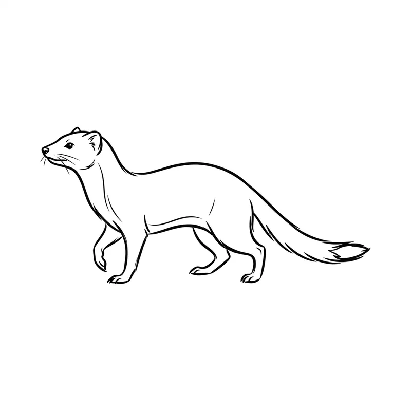 Minimalist Mongoose Sketch in Black and White