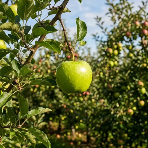 Vibrant Green Apple on Orchard Background - Hyper Real Photo