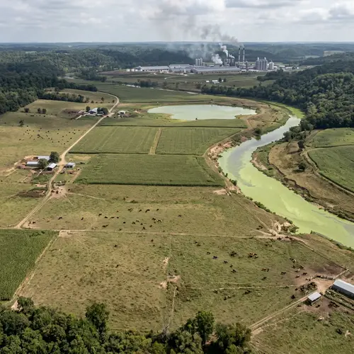 Environmental Impacts of Meat Industry Practices