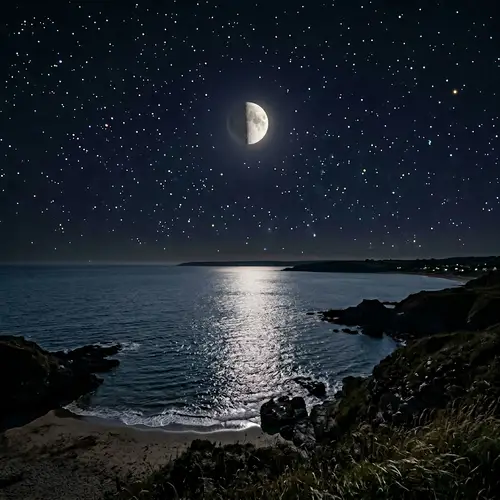 Tranquil Nocturnal Scene with Moon and Stars