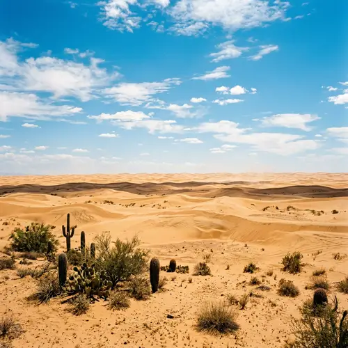 Vibrant Desert Landscape: Endless Sands & Resilient Vegetation