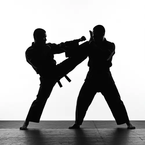 Martial Artists Fighting Silhouette - Black and White Art