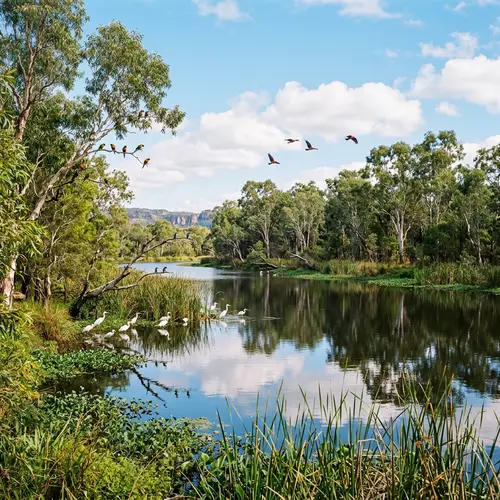 Tranquil Billabong Surrounded by Lush Greenery | Australian Landscape