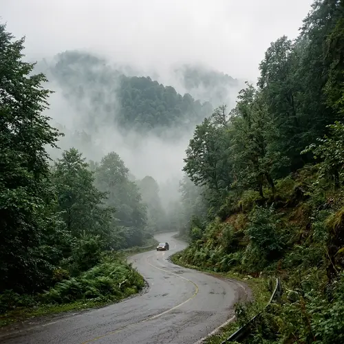 Misty Road in Gilan's Mountain Forests