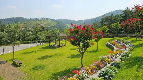 Transform Your Garden with Beautiful Plants and Stones