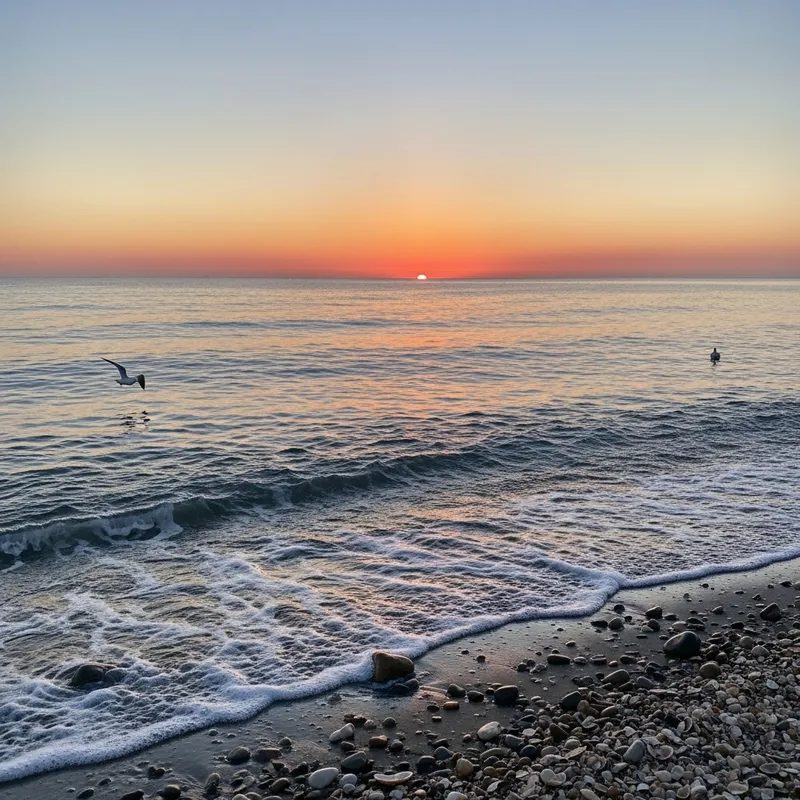 Soothing Sea View at Sunset with Shell Decor