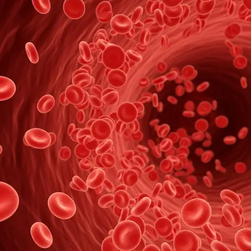 Vivid Microscopic View of Red Blood Cells in Blood Stream