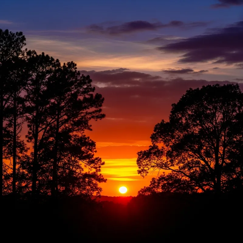 Majestic Sunset - Tranquil Colors Paint the Sky