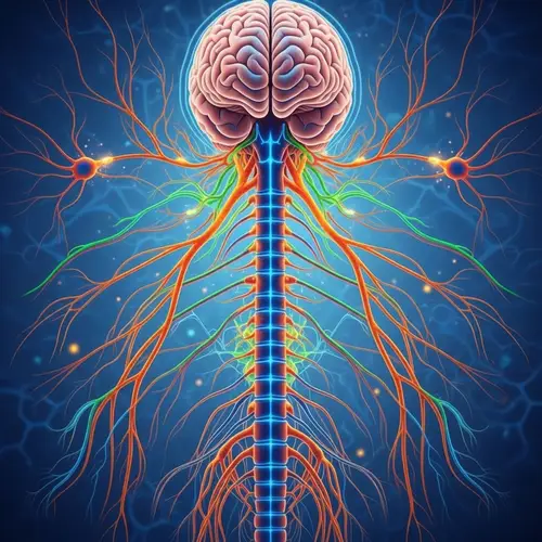 Vibrant Digital Painting of Nervous System | Neuroscience Art