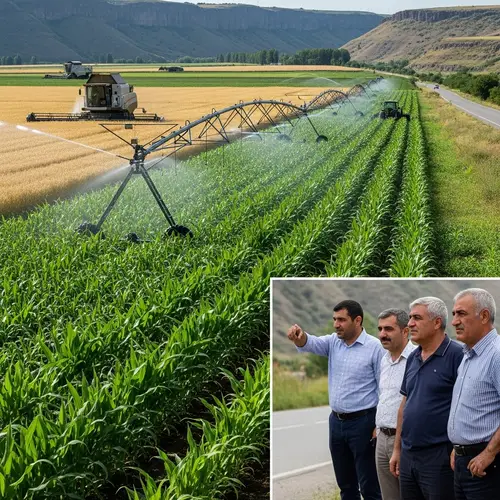 Vibrant Agricultural Landscape in Armenia