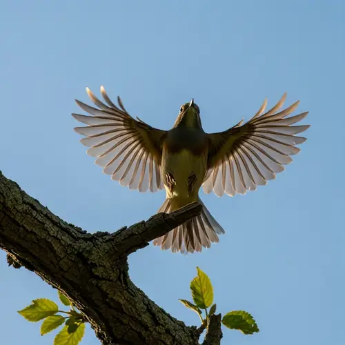 Charming Bird Taking Flight from Tree Branch