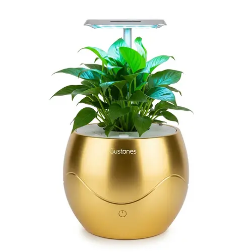Luxurious Futuristic Gold Flower Pot with Automatic Watering System